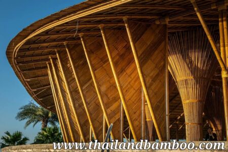 เปรียบเทียบไม้ไผ่แช่น้ำยา vs ไม้ไผ่ธรรมดา ใช้งานต่างกันแค่ไหน?