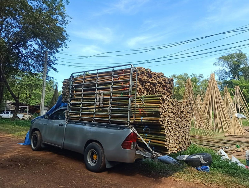 ไม้ไผ่ก่อสร้างคัดเกรดพิเศษ จัดส่งถึงหน้างานทั่วไทย